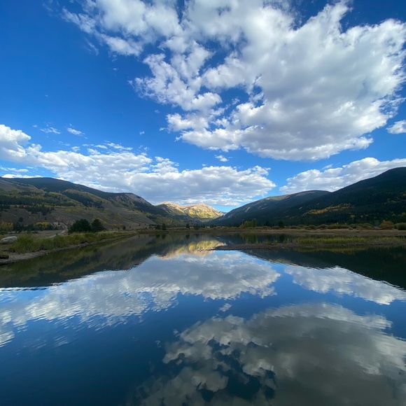 Meet your Posher, Eve - Picture 14 of 16